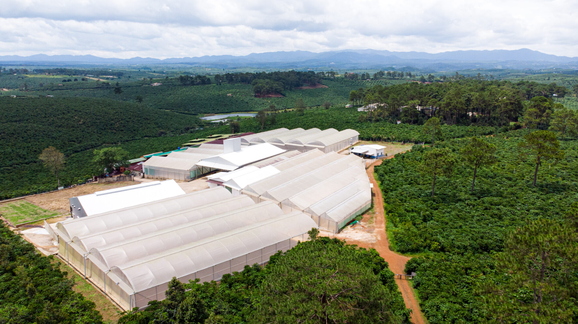 Binh Dong Farm 29092023 Drone-07