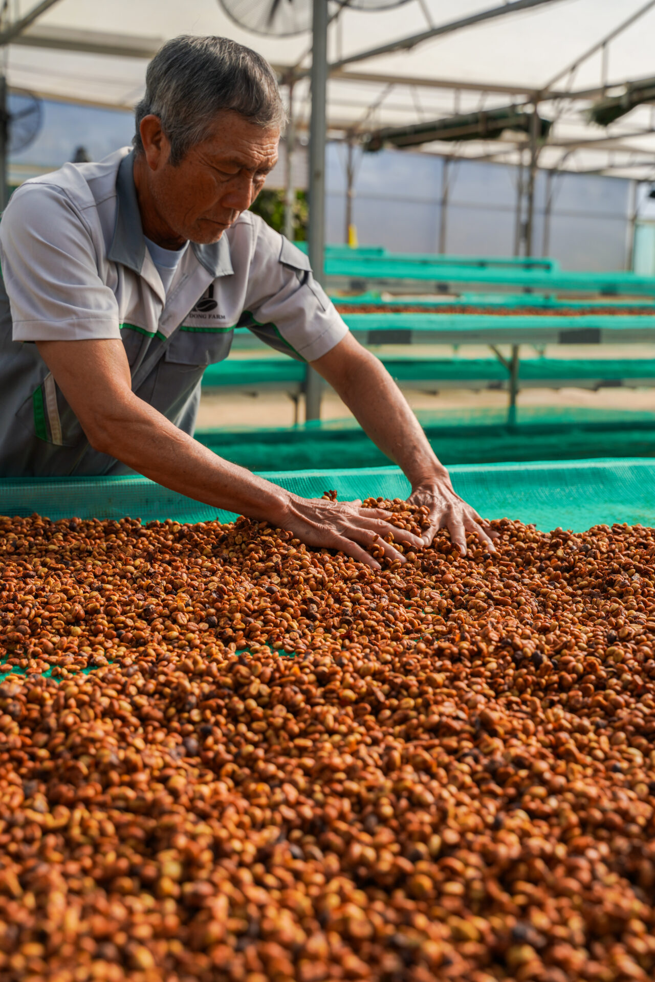 BinhDong Farm 3 (27 of 57)